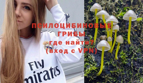 МДПВ Алексин