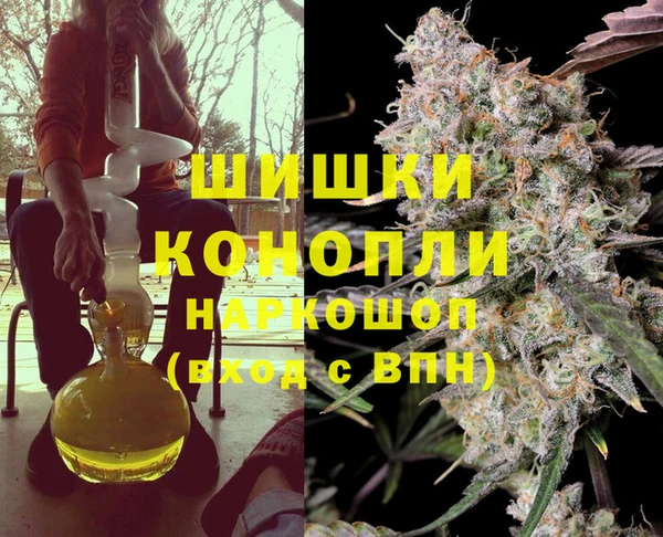 spice Алзамай