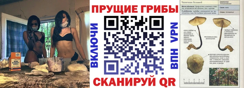 Галлюциногенные грибы MAGIC MUSHROOMS  магазин продажи   Агидель 